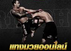 แทงมวยสดยกต่อยก ufabet เปิดประสบการณ์เดิมพันแบบเรียลไทม์ สร้างกำไรได้จริง